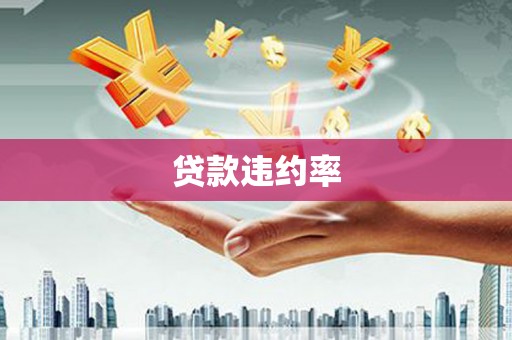 迎泽贷款违约率