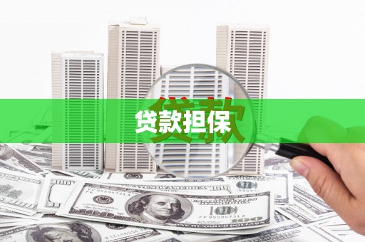 施甸贷款担保
