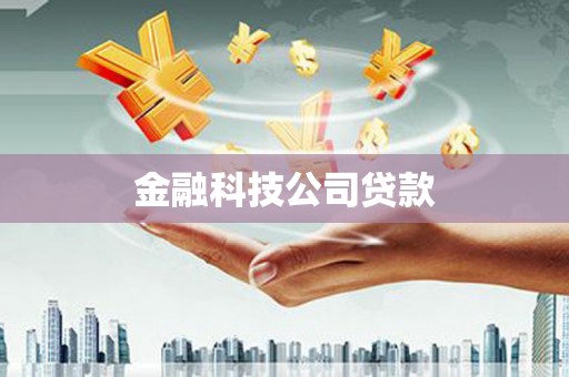 海盐金融科技公司贷款
