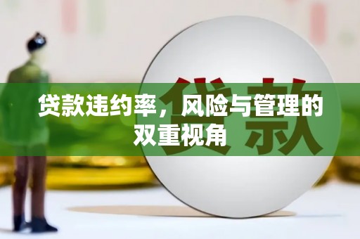 耒阳贷款违约率，风险与管理的双重视角
