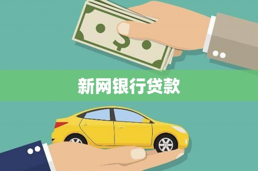 津南新网银行贷款