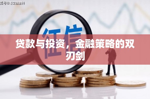 保亭贷款与投资，金融策略的双刃剑