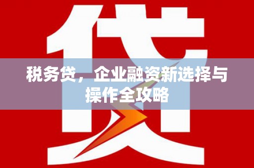 昌乐税务贷，企业融资新选择与操作全攻略
