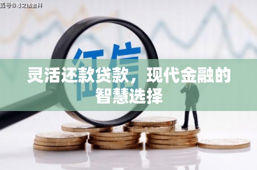 儋州灵活还款贷款，现代金融的智慧选择