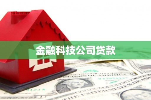 吴起金融科技公司贷款