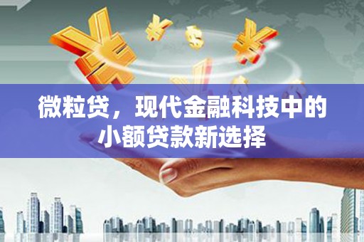 扶绥微粒贷，现代金融科技中的小额贷款新选择