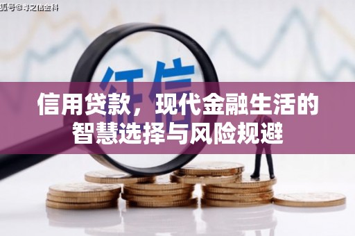 新园信用贷款，现代金融生活的智慧选择与风险规避
