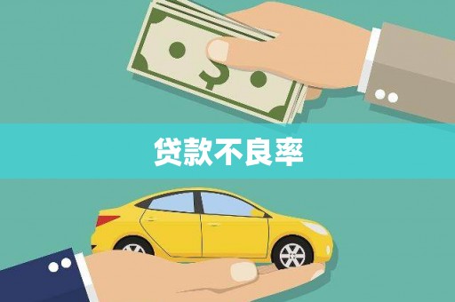 独山贷款不良率
