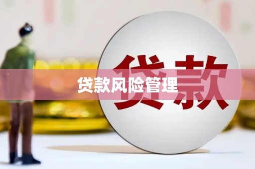 夏县贷款风险管理