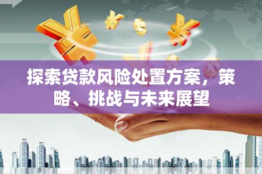 鹿泉探索贷款风险处置方案，策略、挑战与未来展望