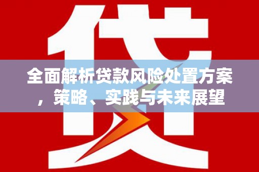 商州全面解析贷款风险处置方案，策略、实践与未来展望