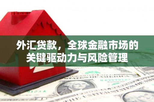 冈山外汇贷款，全球金融市场的关键驱动力与风险管理