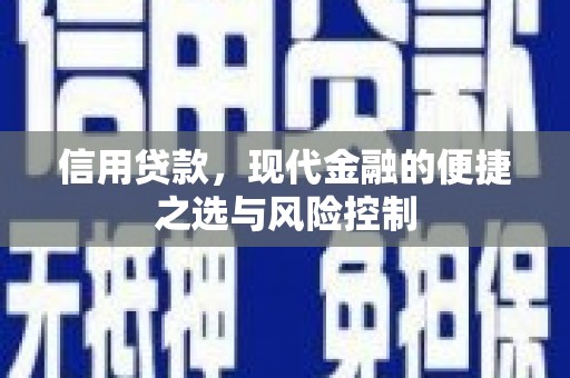 定陶信用贷款，现代金融的便捷之选与风险控制