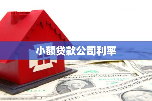 南涧小额贷款公司利率