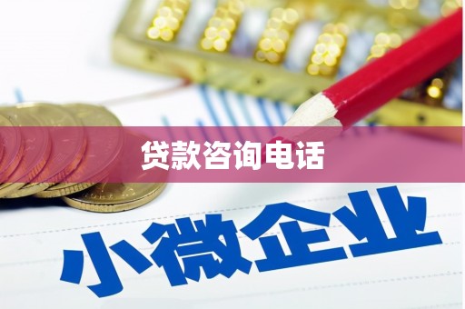 阜沙贷款咨询电话