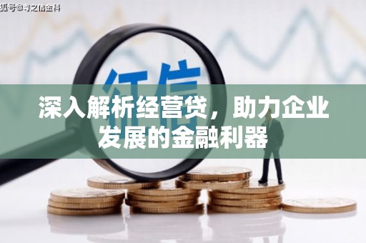 镇赉深入解析经营贷，助力企业发展的金融利器