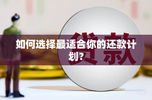 蔡甸如何选择最适合你的还款计划？