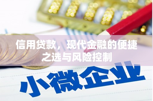 新蔡信用贷款，现代金融的便捷之选与风险控制