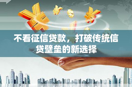 蒲城不看征信贷款，打破传统信贷壁垒的新选择