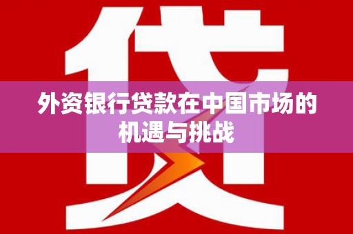 东乡族外资银行贷款在中国市场的机遇与挑战