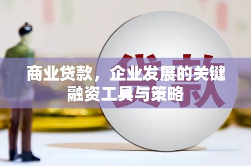 中卫商业贷款，企业发展的关键融资工具与策略