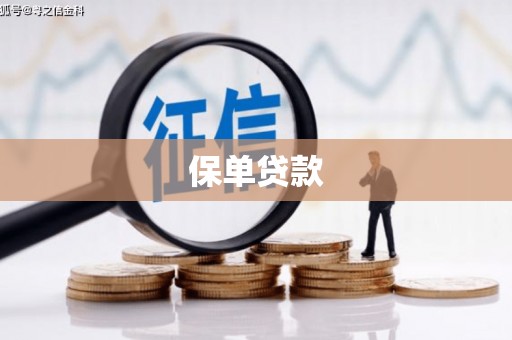 红安保单贷款
