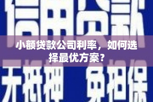 晋中小额贷款公司利率，如何选择最优方案？