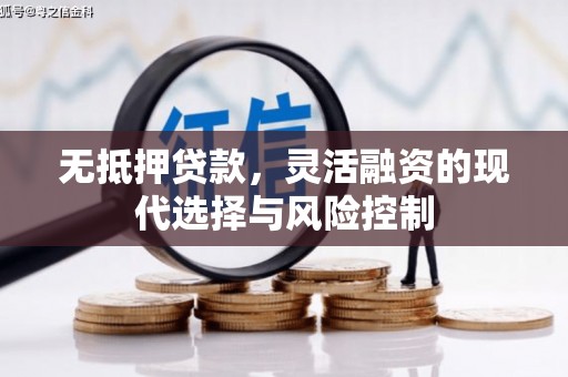 西林无抵押贷款，灵活融资的现代选择与风险控制