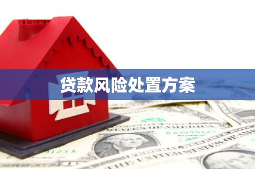 梨树县贷款风险处置方案