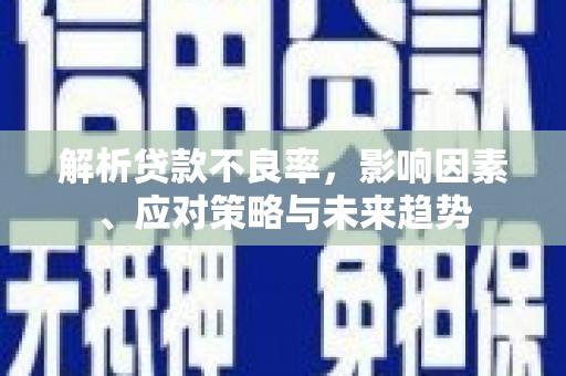苑里解析贷款不良率，影响因素、应对策略与未来趋势
