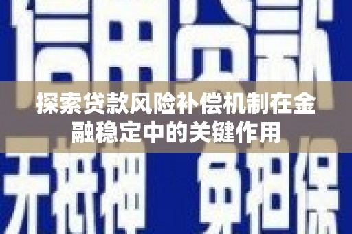 文圣探索贷款风险补偿机制在金融稳定中的关键作用