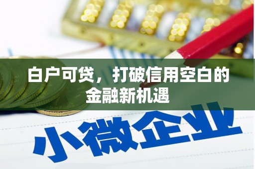 玛曲白户可贷，打破信用空白的金融新机遇