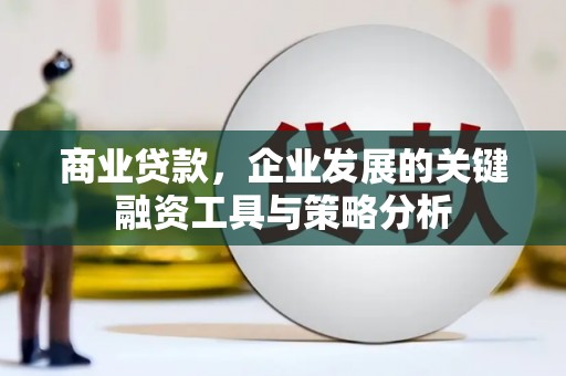 鄱阳商业贷款，企业发展的关键融资工具与策略分析