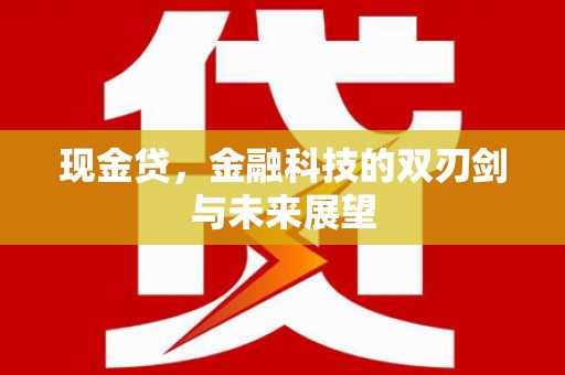 盐池现金贷，金融科技的双刃剑与未来展望