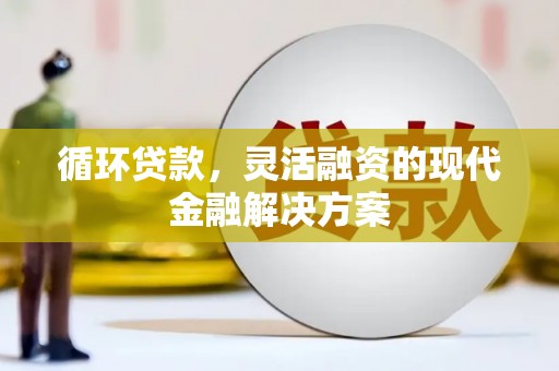 天宁循环贷款，灵活融资的现代金融解决方案