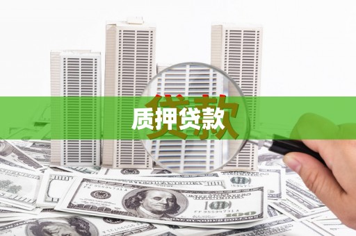 新河质押贷款
