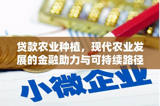 建宁贷款农业种植，现代农业发展的金融助力与可持续路径
