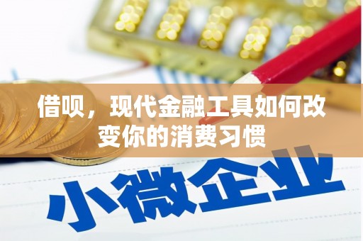 洛宁借呗，现代金融工具如何改变你的消费习惯