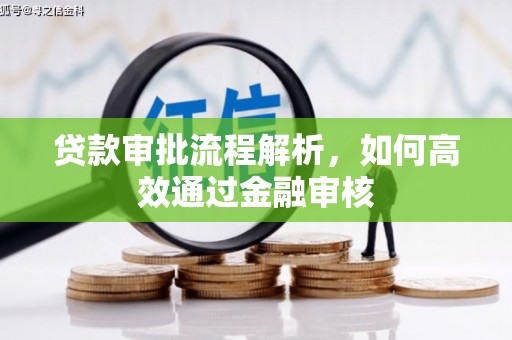 拉孜贷款审批流程解析，如何高效通过金融审核