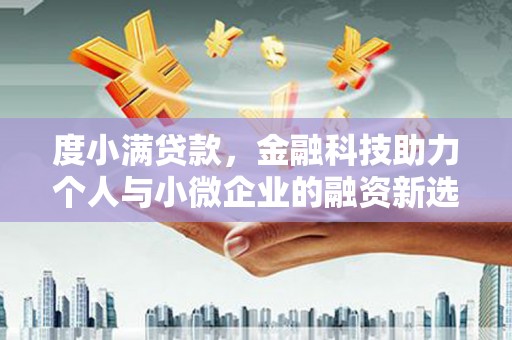 兰山度小满贷款，金融科技助力个人与小微企业的融资新选择