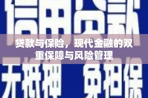 临潭贷款与保险，现代金融的双重保障与风险管理