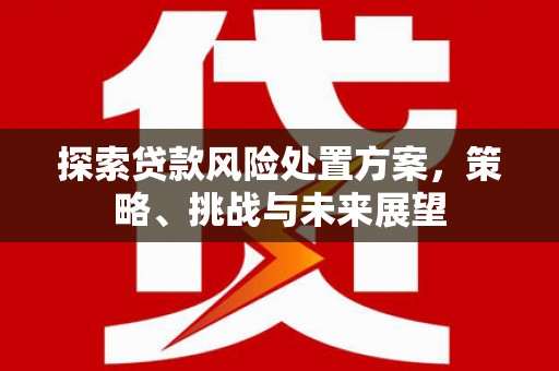 玉州探索贷款风险处置方案，策略、挑战与未来展望