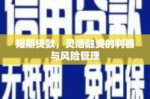 敦化短期贷款，灵活融资的利器与风险管理