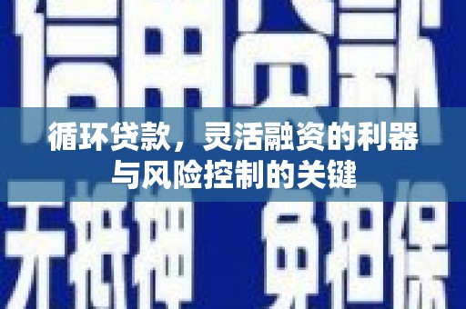 黔西南循环贷款，灵活融资的利器与风险控制的关键