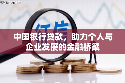 东坡中国银行贷款，助力个人与企业发展的金融桥梁