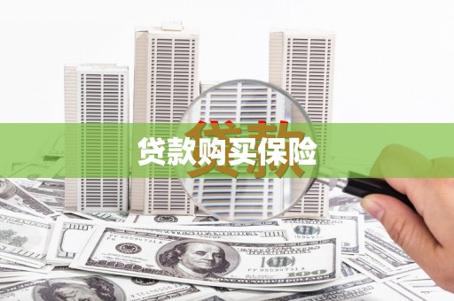 龙湾贷款购买保险
