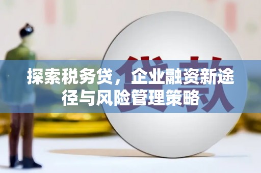 青羊探索税务贷，企业融资新途径与风险管理策略