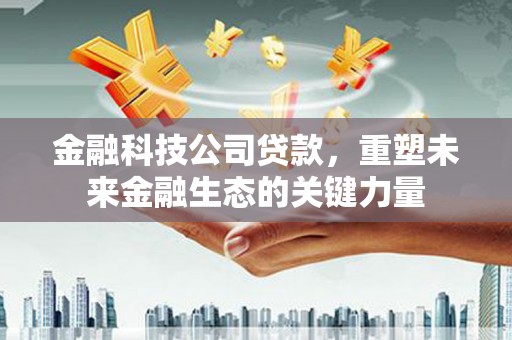 巴里坤金融科技公司贷款，重塑未来金融生态的关键力量