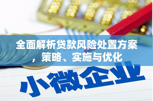 港南全面解析贷款风险处置方案，策略、实施与优化