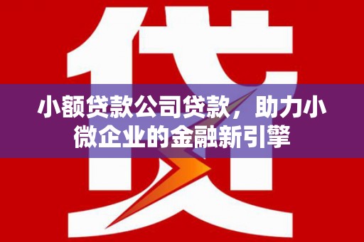 永胜小额贷款公司贷款，助力小微企业的金融新引擎